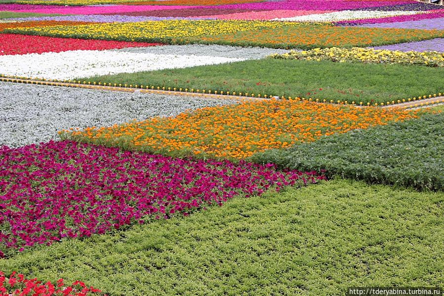 Благоухающий ковер Красной площади Москва, Россия