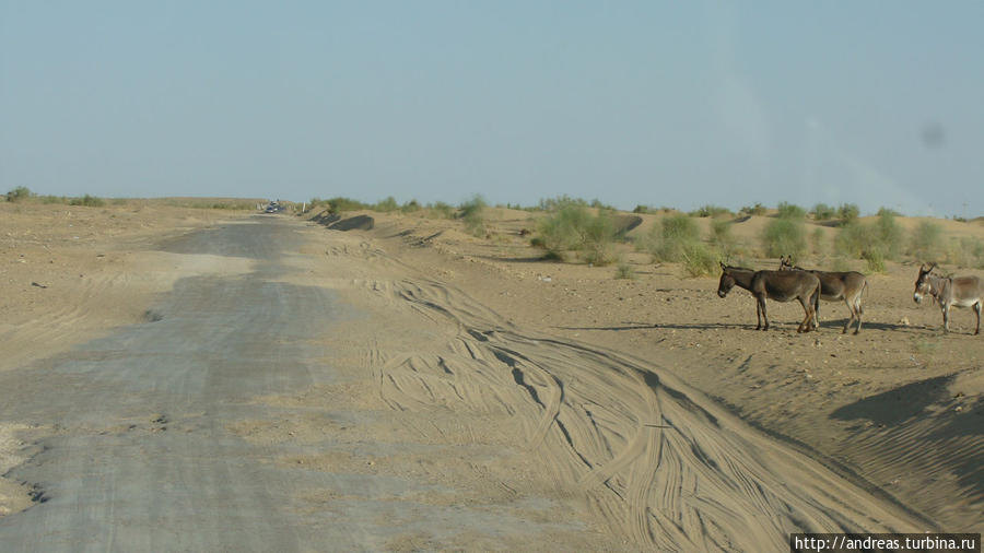 Сотни километров пейзаж не меняется Узбекистан
