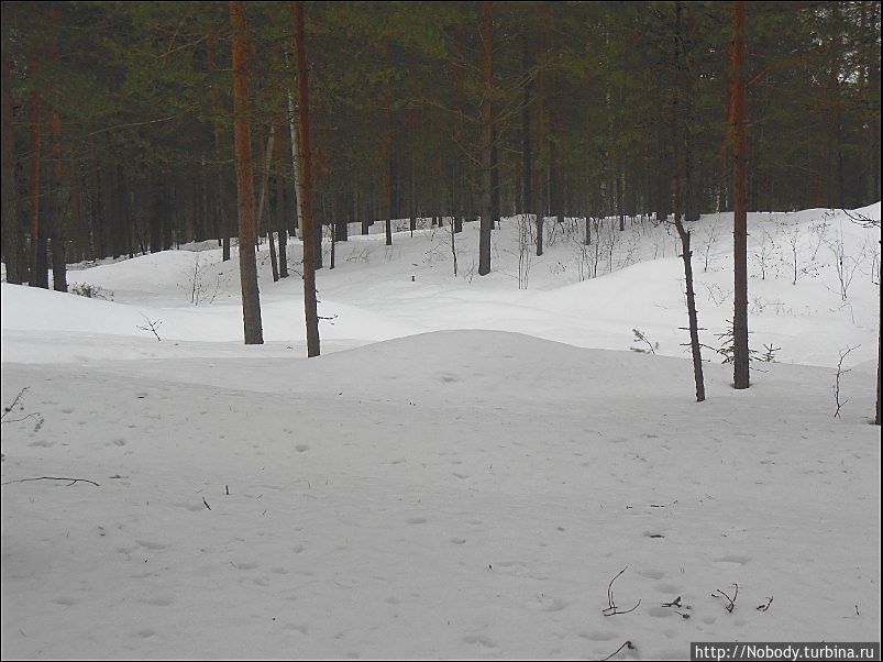 Зимняя Эльба в Ижицах. Зачем? Валдай, Россия