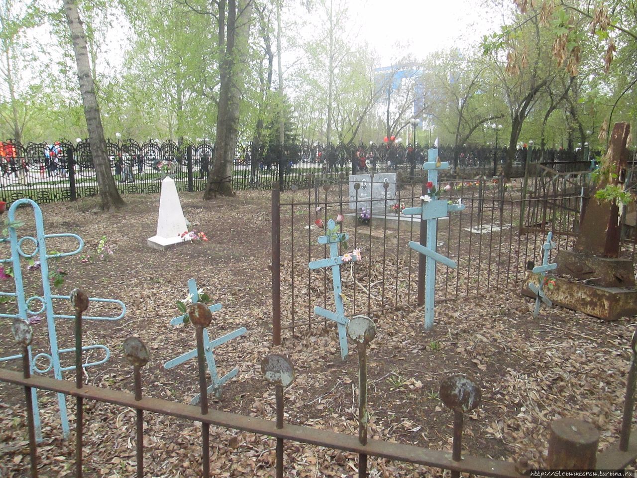 Текутьевское кладбище могилы