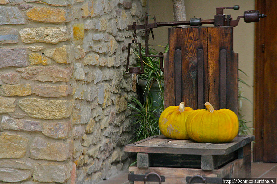 Здесь же тыквы