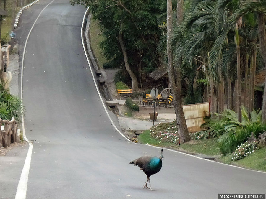 Чиангмай Чиангмай, Таиланд