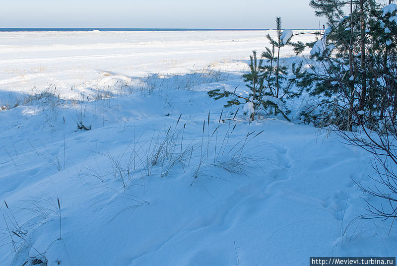 На прогулке в дюнах Юрмалы и зимой хорошо Юрмала, Латвия
