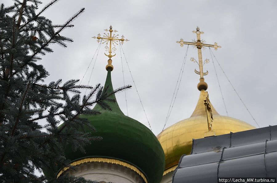 Зелень и золото куполов и деревьев 1 Суздаль, Россия