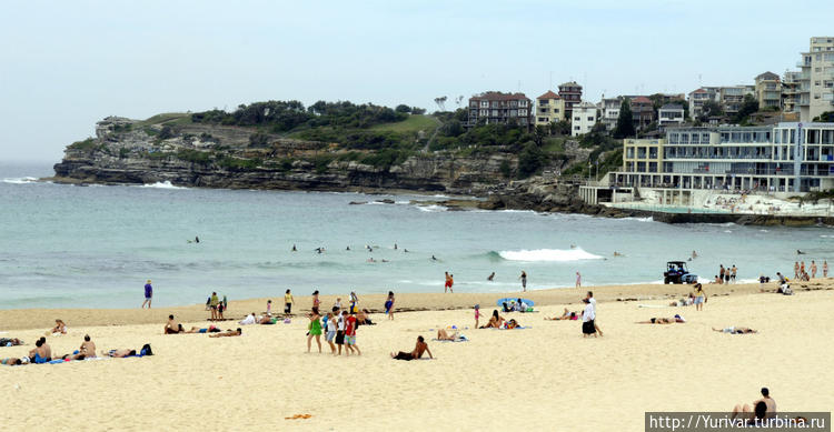 Правая часть пляжа Coogee