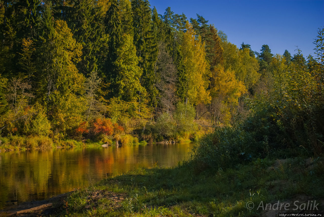 Утесы на реке Гауя Лигатне, Латвия