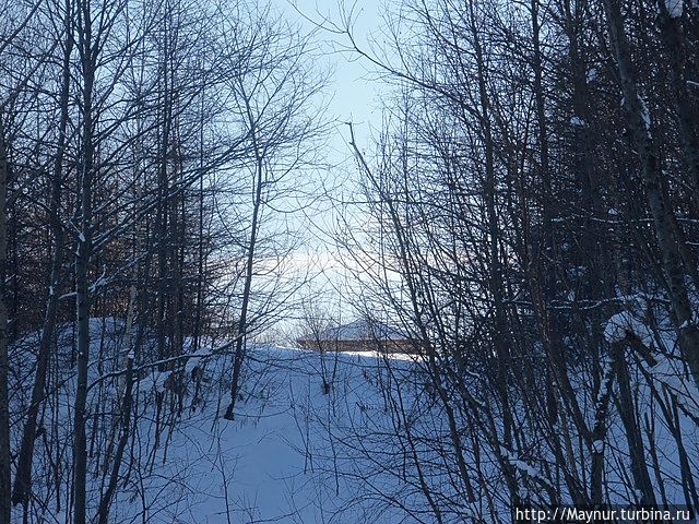 У леса на опушке......