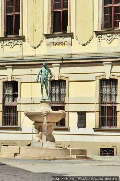 Вроцлавский университет, фонтан и снова легенда Вроцлав, Польша