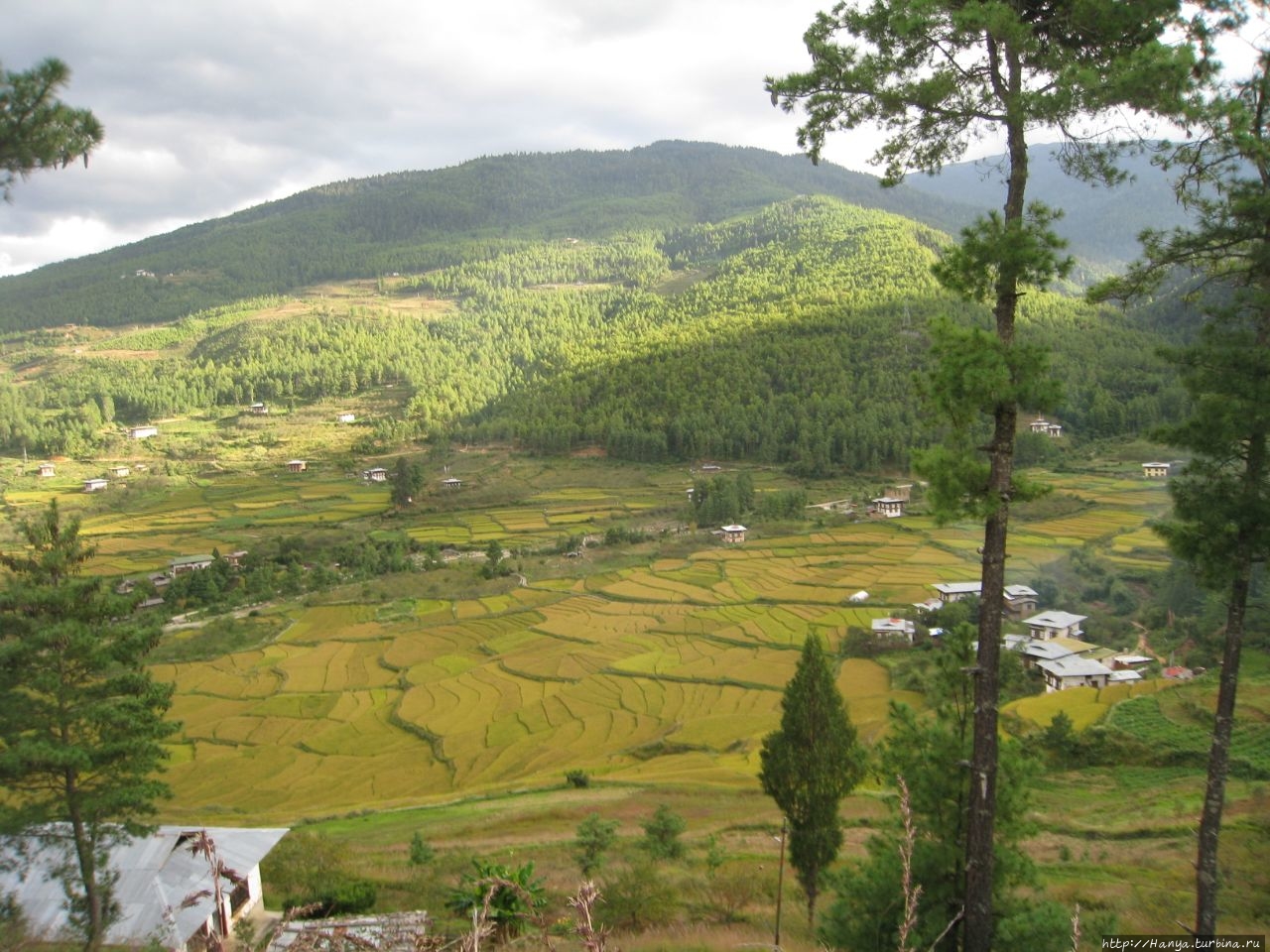 Город Хаа Хаа, Бутан