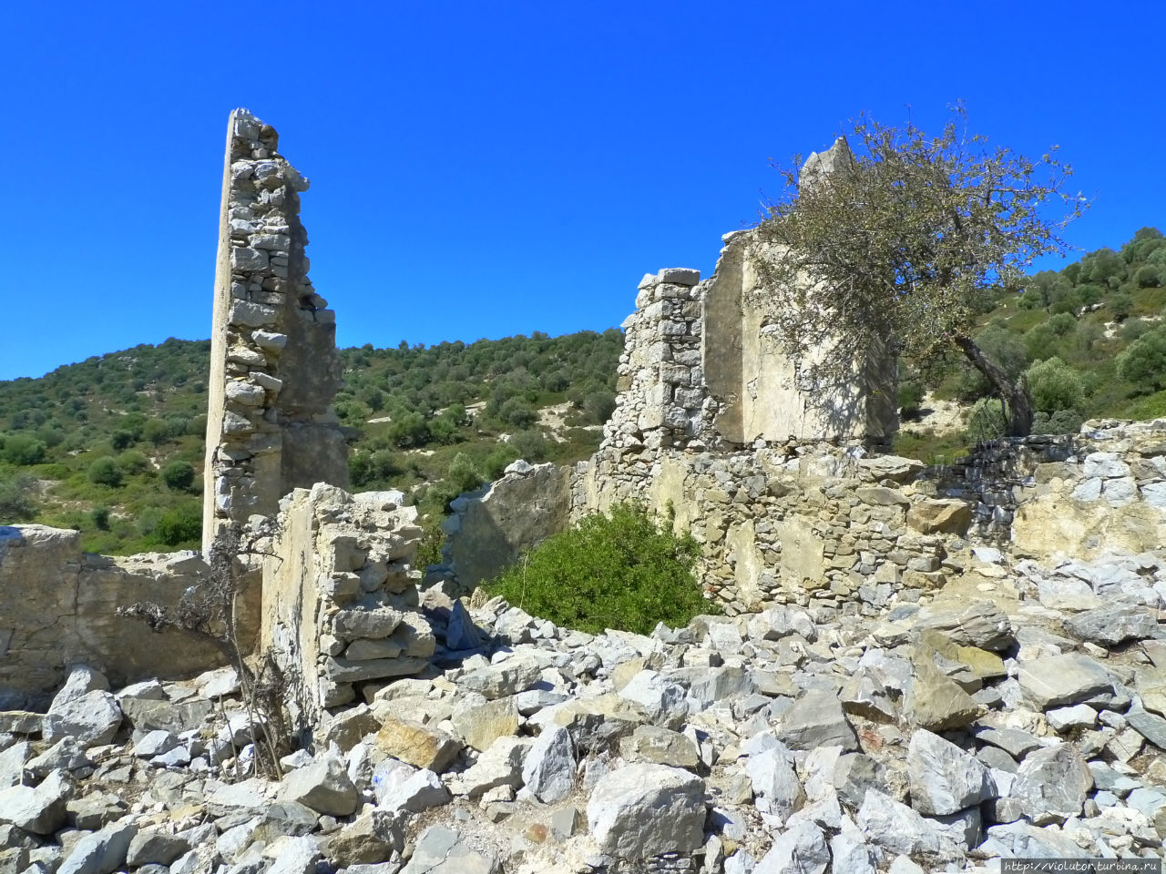 Не кормите козочек, лезут в кадр Мармарис, Турция