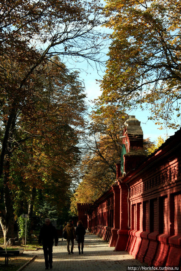 Осень. Новодевичье Москва, Россия