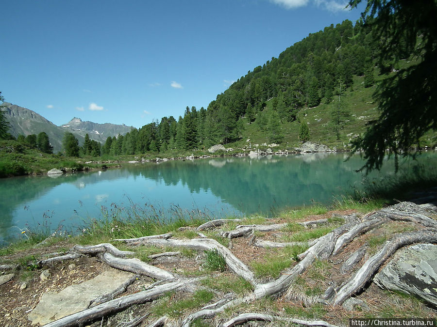 Сливаясь с природой по маршруту  Bergli — Larein Матон, Австрия