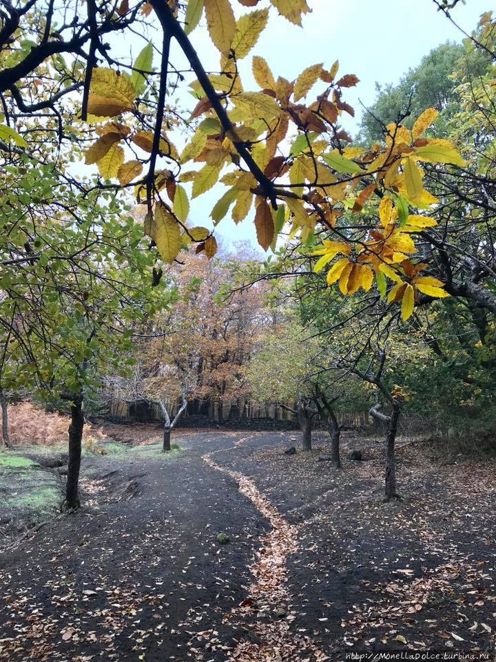 Национальный парк вулкан Etna: кратеры, гроты... Вулкан Этна Национальный Парк (3350м), Италия