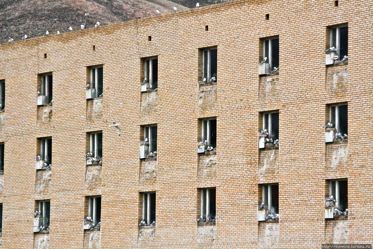 Дом для чаек / Seagulls house