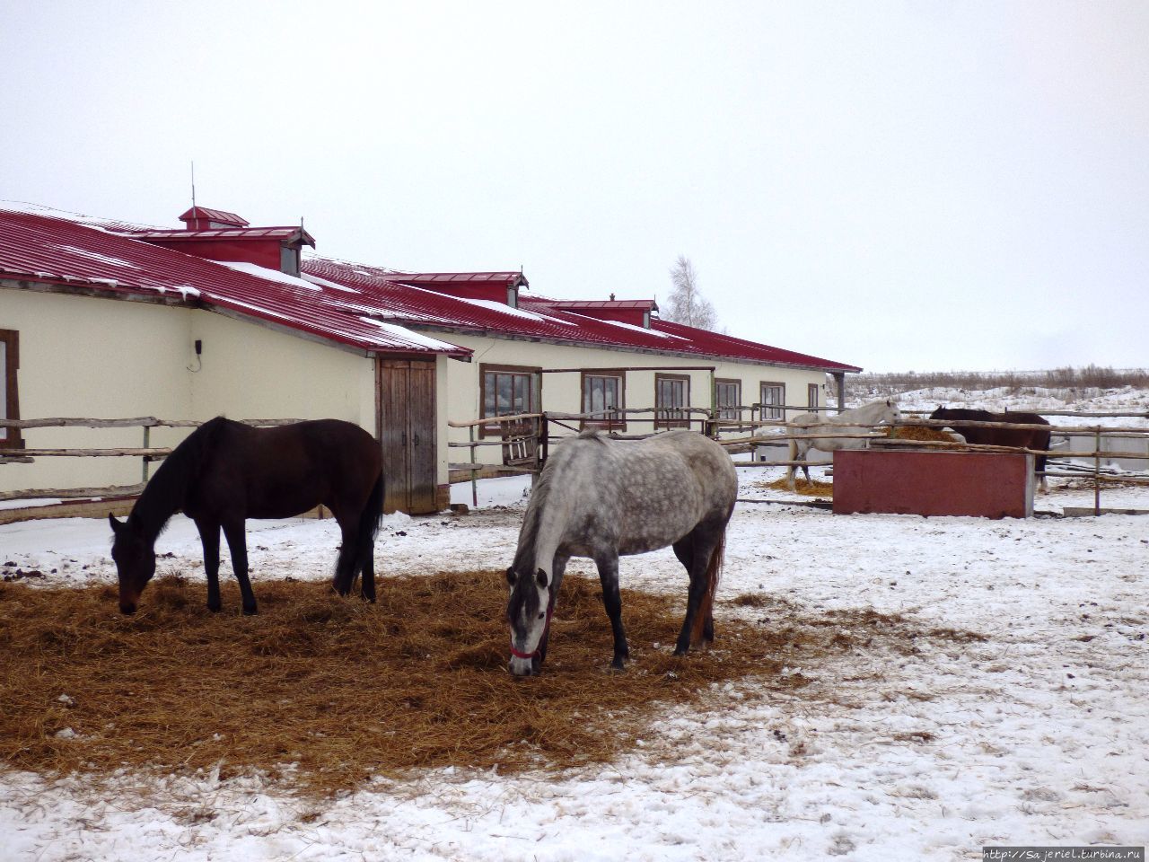 Конный двор Монастырщино (Куликово поле), Россия