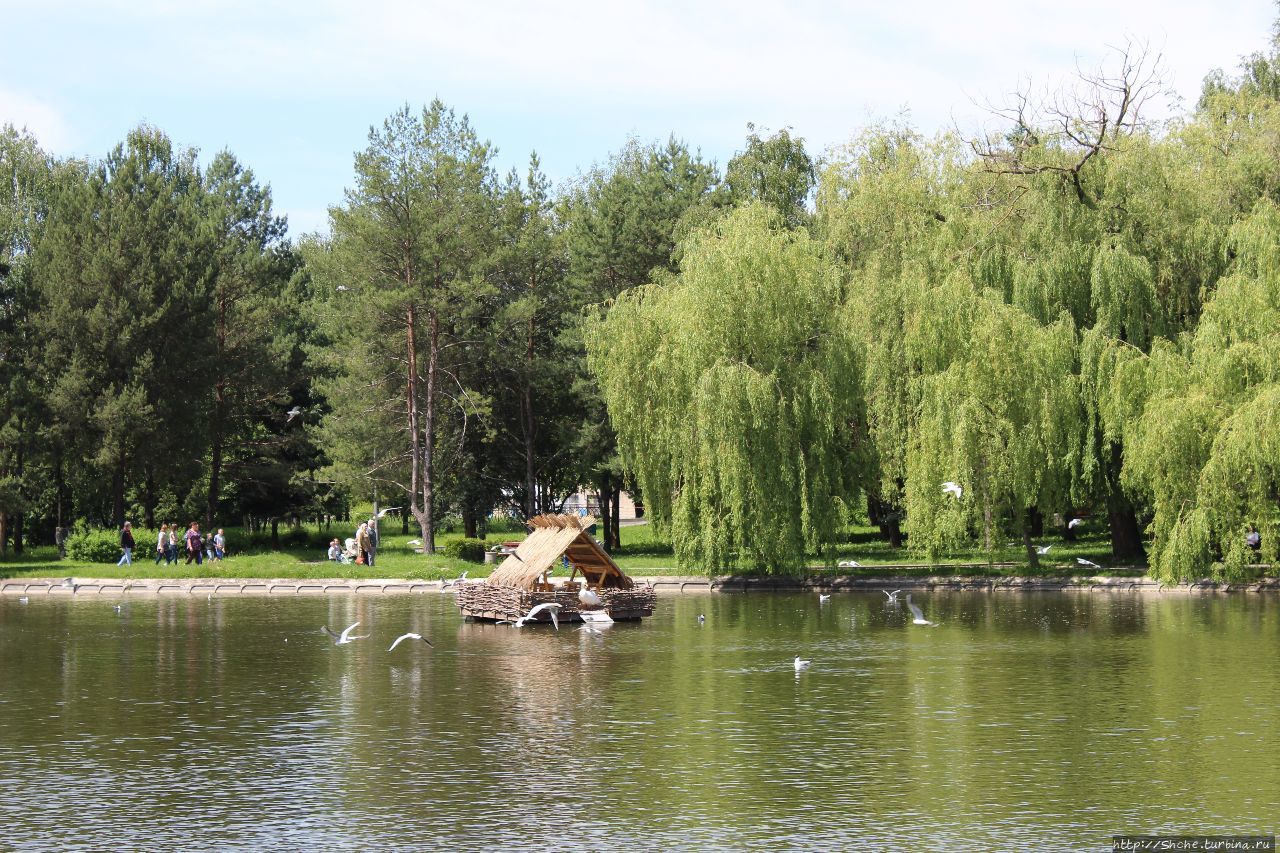 Лебединое озеро Ровно, Украина