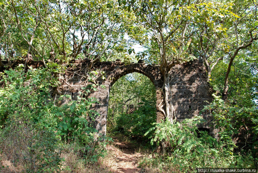 Форт Рэди, храм Рэди Арамболь, Индия