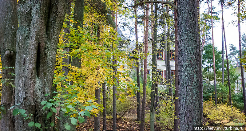 Осеннее в Вецаки Рига, Латвия