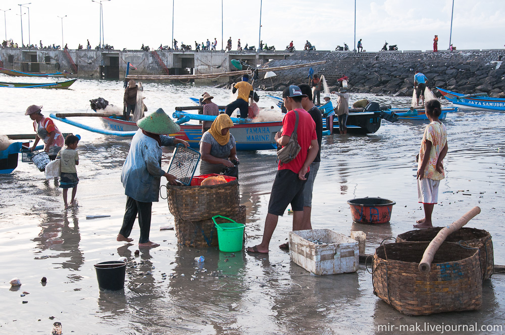 Выпутанную из сетей рыбу складывают в специальные плетеные корзины. Джимбаран, Индонезия