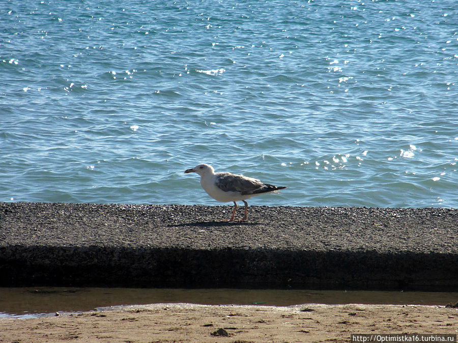 Дидим в конце октября Дидим, Турция