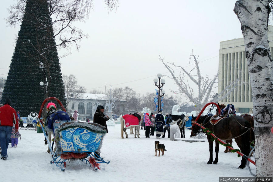 Зимние  зарисовки Южно-Сахалинск, Россия