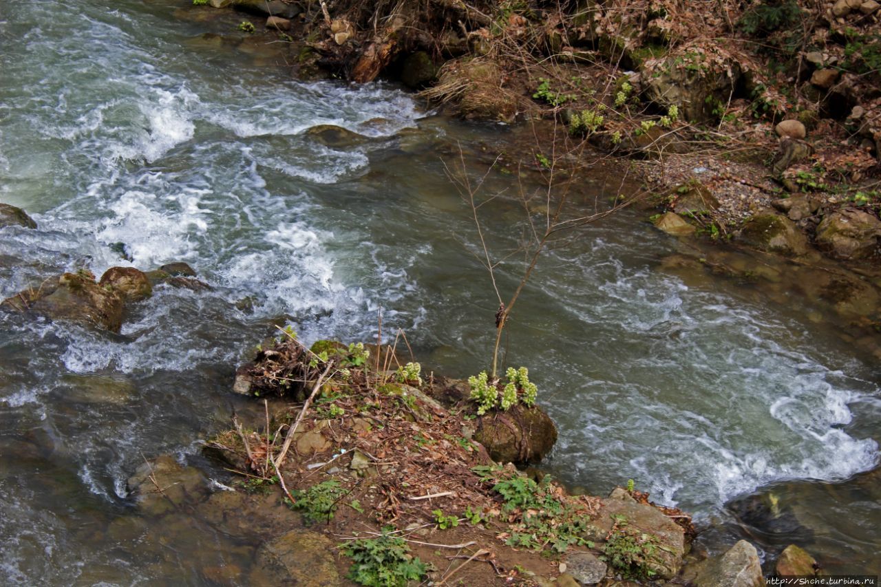 Река Каменка Сколевские Бескиды Национальный Парк, Украина