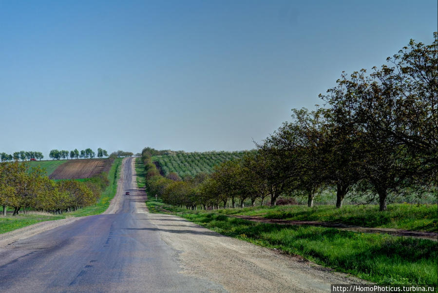 Курки Курки, Молдова