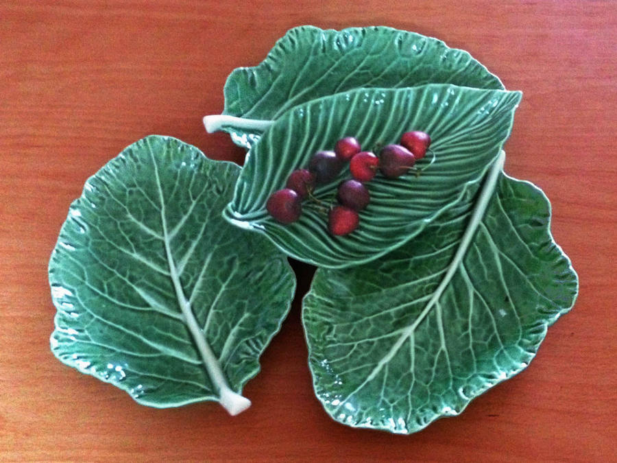 Зелёная майолика Калдаш-да-Раиньи