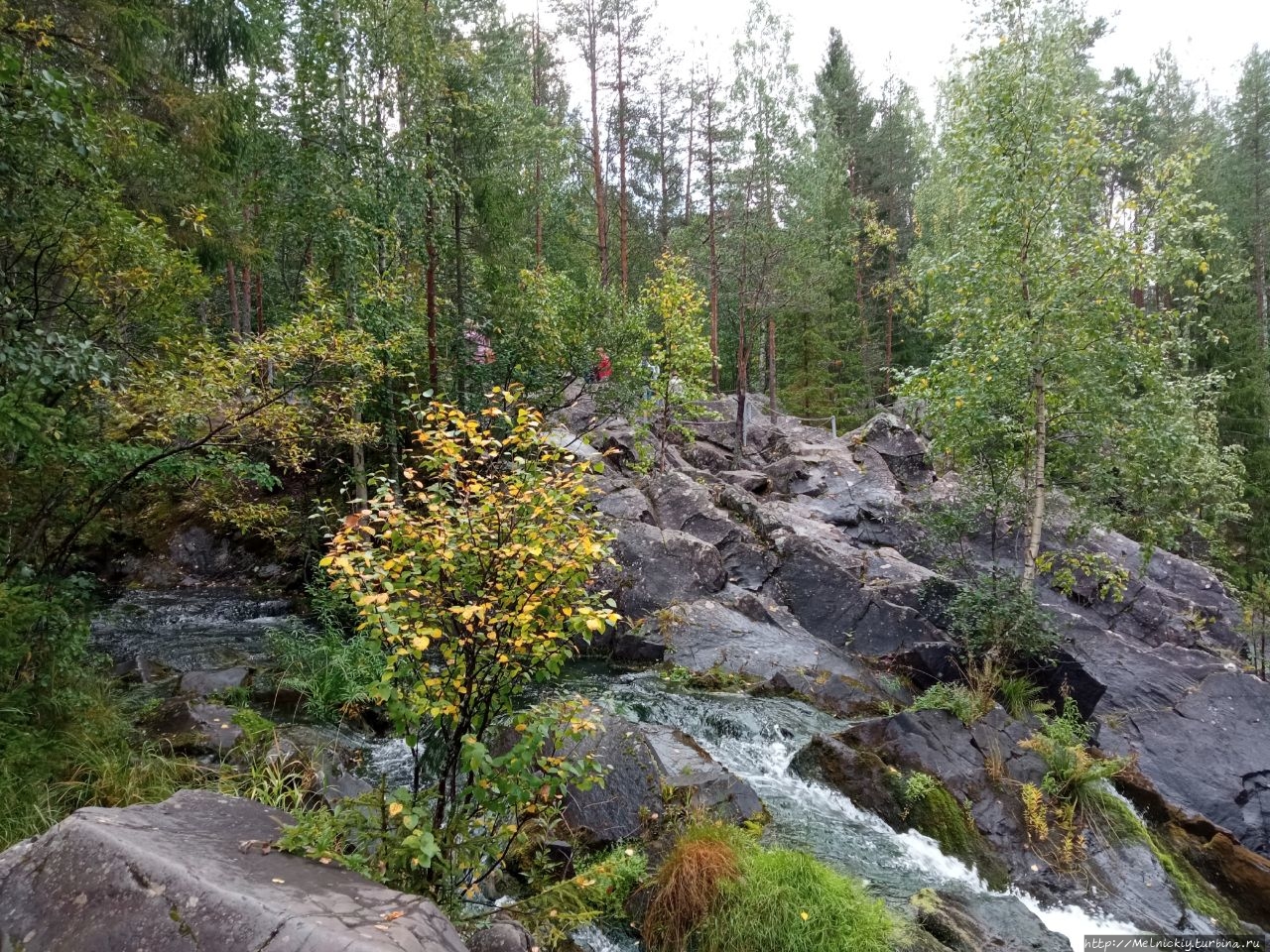 Водопад Кивач Кивач Заповедник, Россия