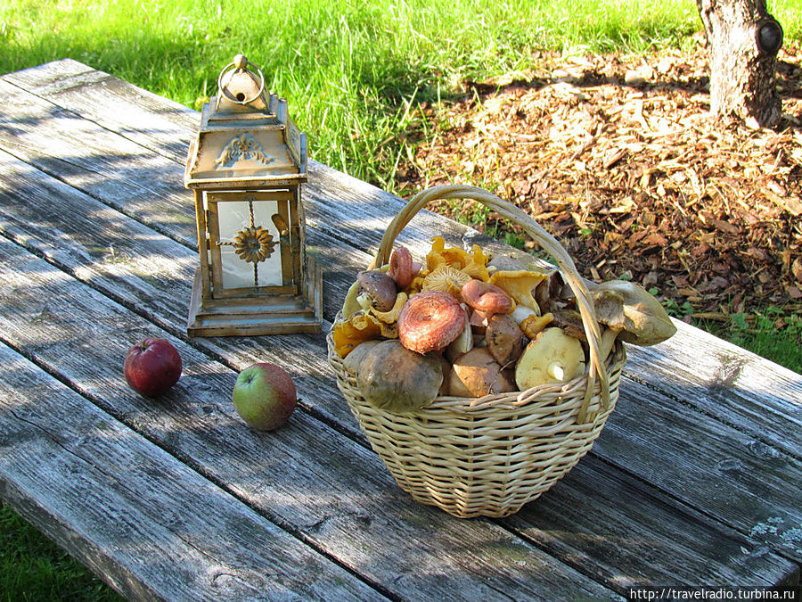 Микельторнис Латвия