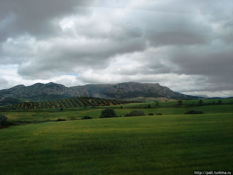 Дорога в Ронду Андалусия, Испания
