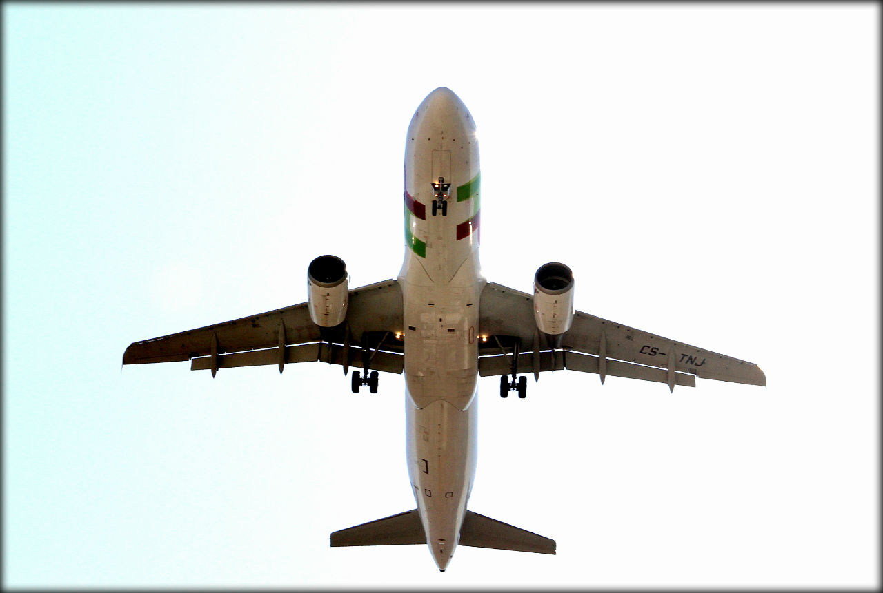 Крылья наших мечтаний