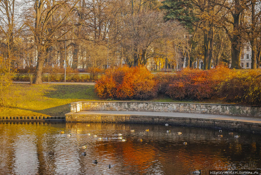 В ноябре в парке Кронвальда Рига, Латвия