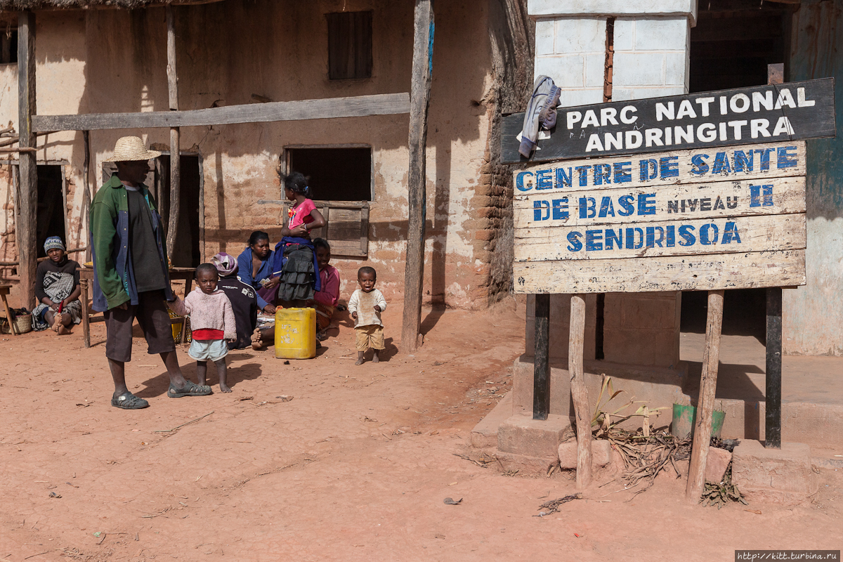 Мадагаскар без лемуров. Трекинг в нацпарке Андрингитра