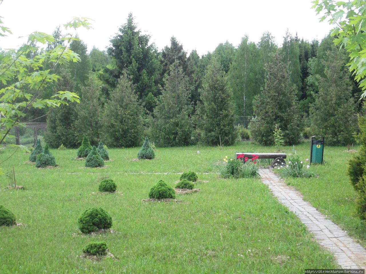 Прогулка в Дендрологический сад Нарочанского парка Мядель, Беларусь