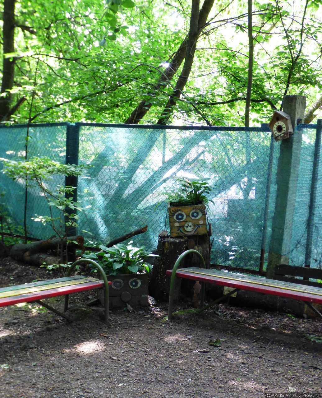 Ботанический сад Тверь, Россия