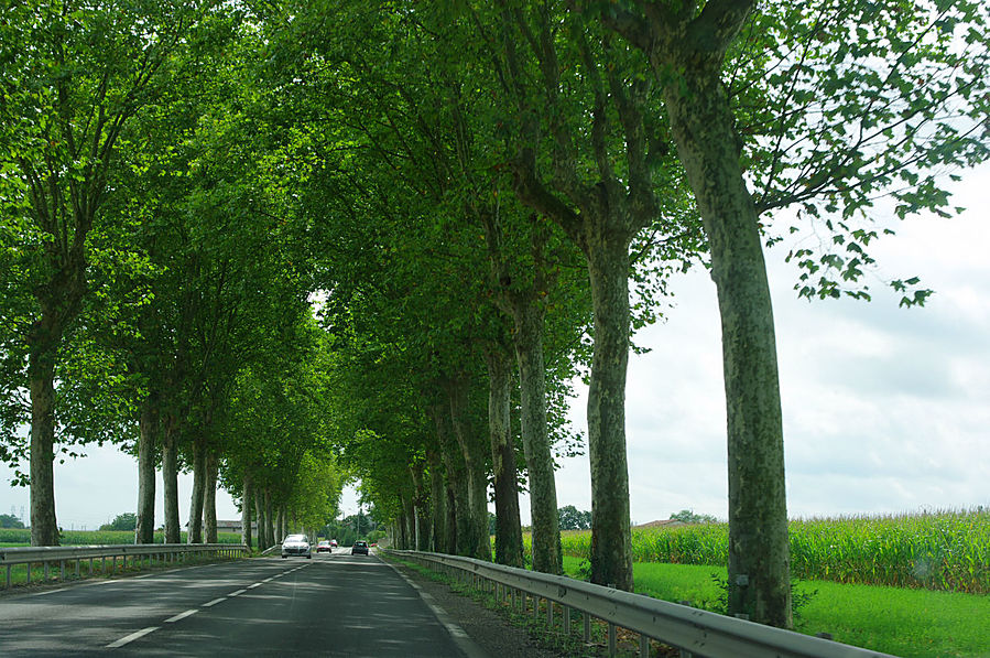 Бесплатные дороги Франции. Лион, Франция