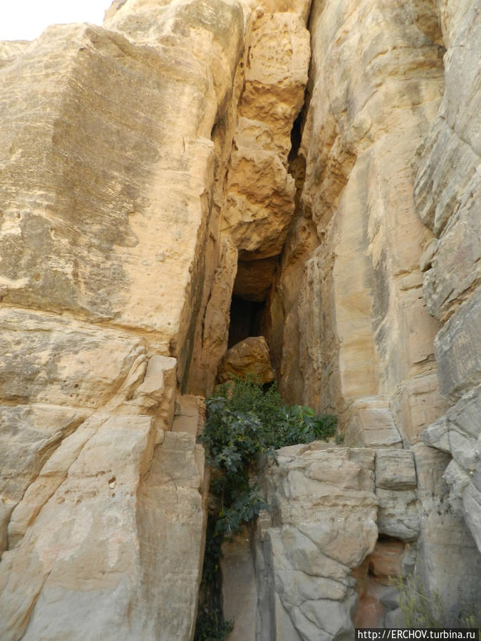 Тула Суля, Йемен