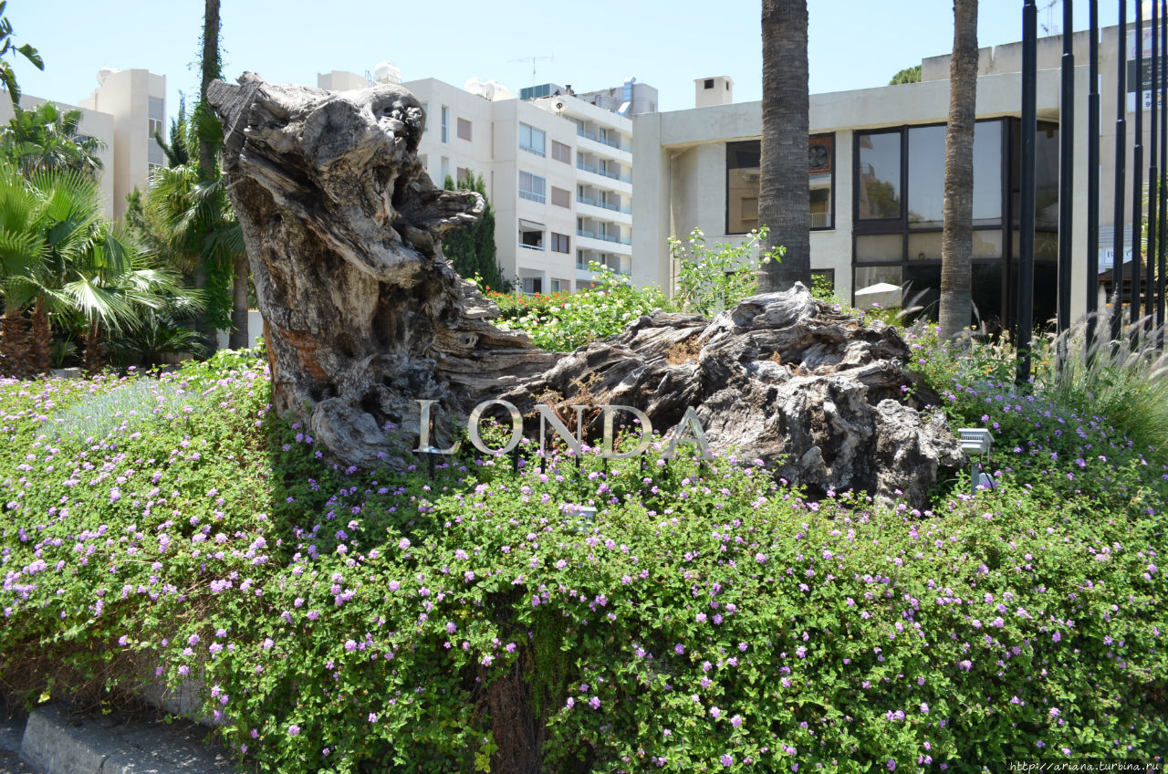 Клумба перед отелем Лимассол, Кипр