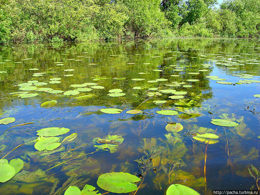 Беларусь фрагменты и зарисовки матушки природы Борисов, Беларусь