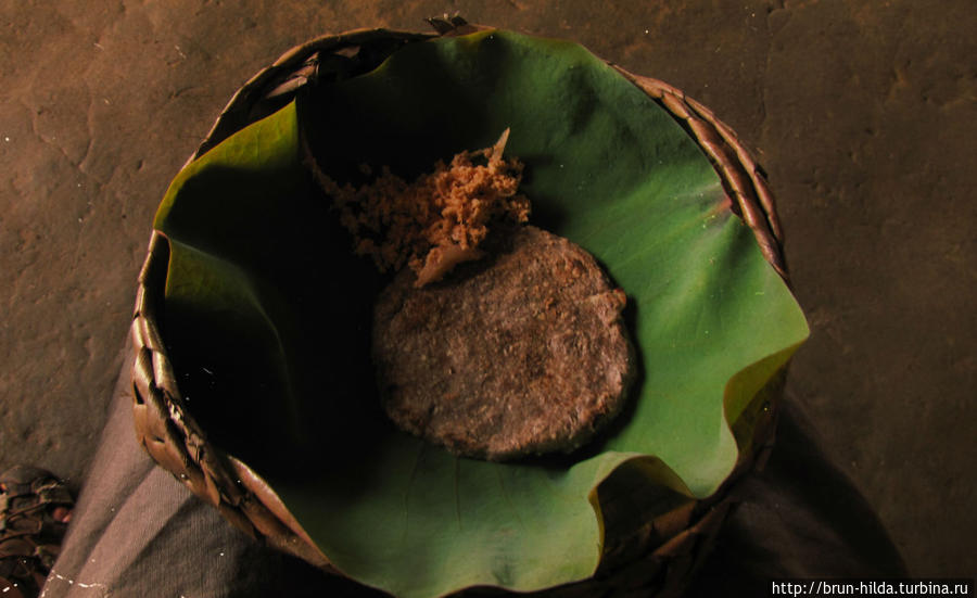 По острову Цейлон Шри-Ланка