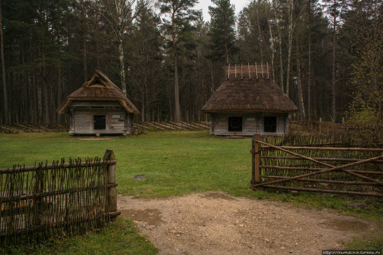 В дождь по Рокка-аль-Маре Таллин, Эстония