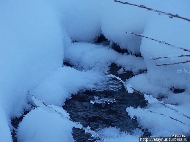 Нежнее  нежного ....