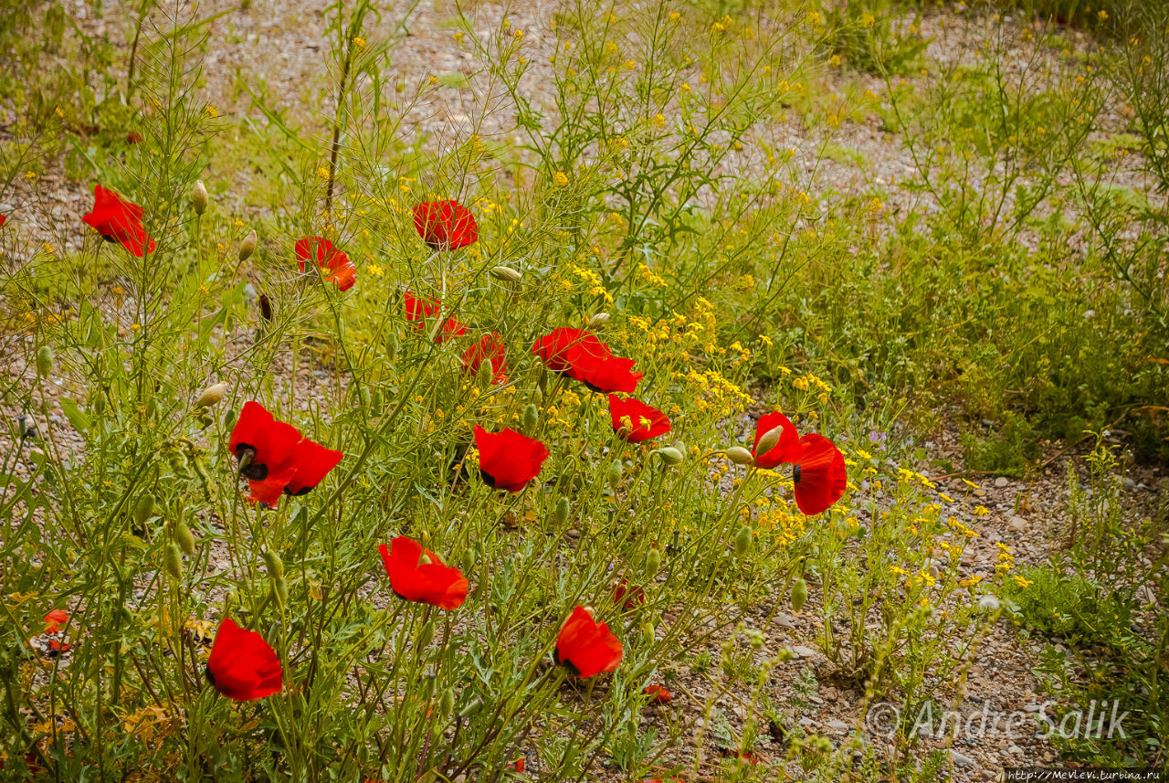 Райское местечко Керманшах, Иран
