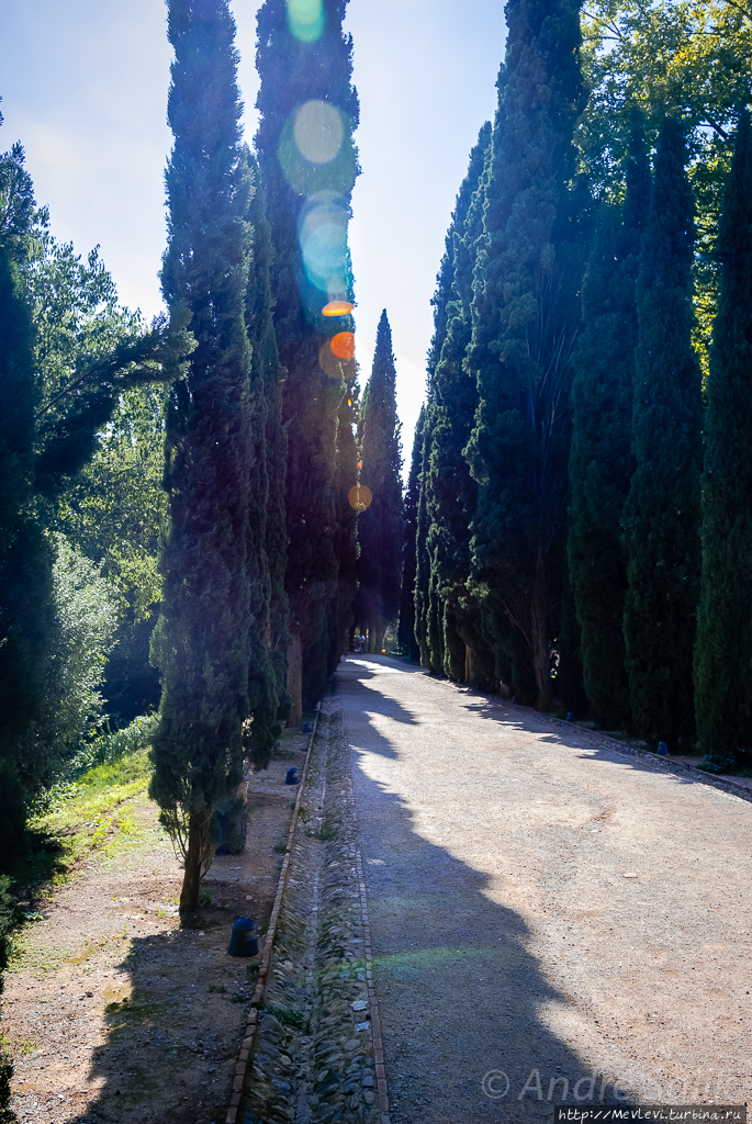 Гранада. Прогулка по городу Гранада, Испания