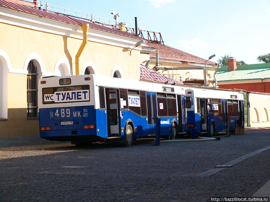 Спецзаказ для Спб от МАЗовских автобусостроителей