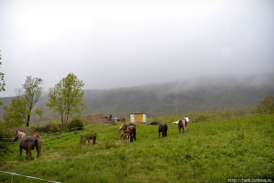 Проехав городок Акс ле Терме, бальнеологический горный курорт, дорога резка начала взбираться в горы, хотел сделать пару кадров его с высоты, но густая облачность и дождь стеной, не позволили насладиться этим чудесным городком с высоты. 
За окном, несмотря на проливной дождь, вдоль обочины пасутся стада лошадей, дорога  спустилась  в долину.
