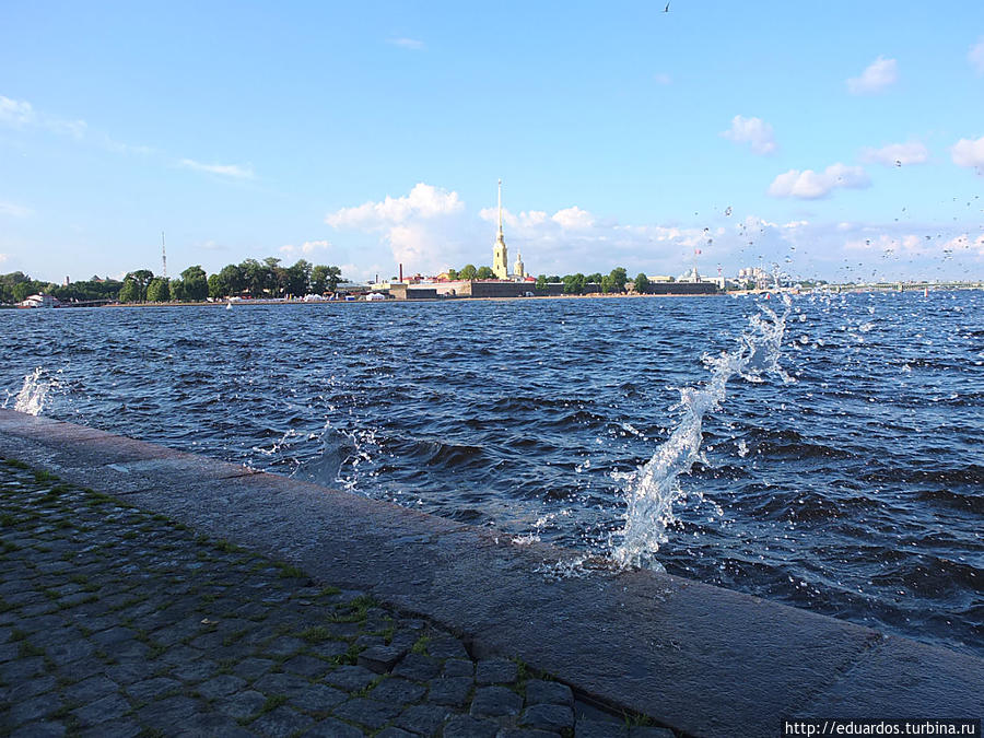 От красоты такой ты сможешь воспарить над мостовой!!! Санкт-Петербург, Россия