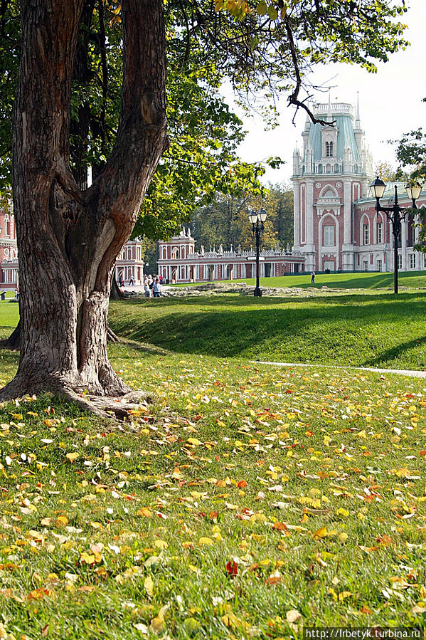 Прогулка по осеннему Царицыно Москва, Россия