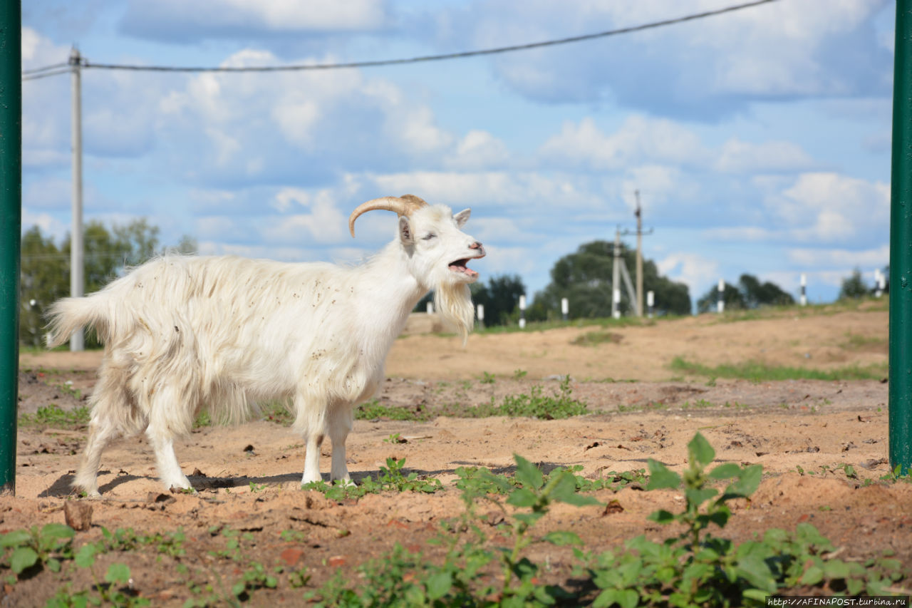 На пароме Лысково, Россия